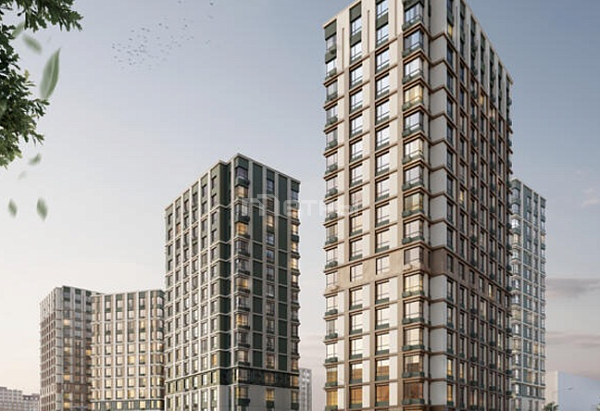 Shejire 3 комнатная