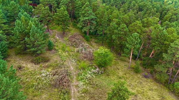Продажа земельного участка под отель в Щучинске 9 соток
