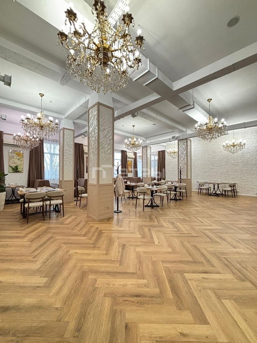 КОММЕРЧЕСКОЕ ПОМЕЩЕНИЕ 277 м² С ДЕЙСТВУЮЩИМ БИЗНЕСОМ