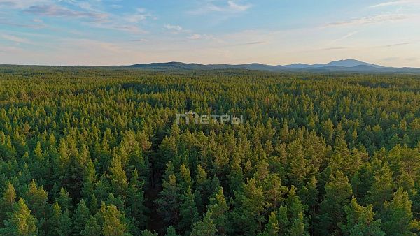 Продажа земельного участка под отель в Щучинске 9 соток
