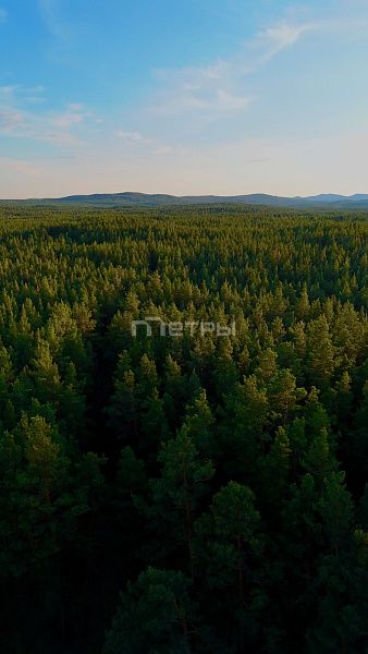Продажа земельного участка под отель в Щучинске 9 соток